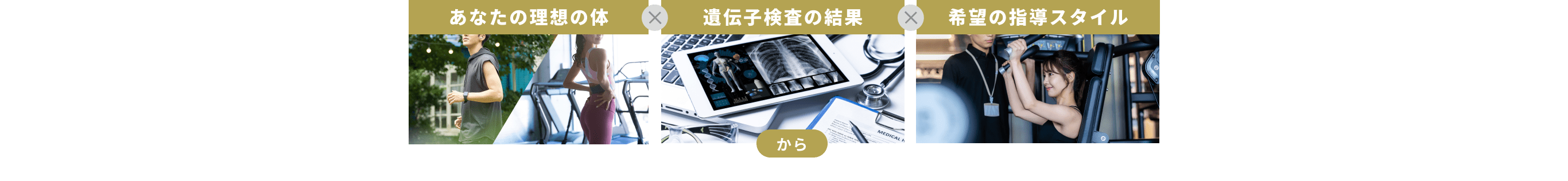 あなたの理想の体　遺伝子検査の結果　希望の指導 スタイル